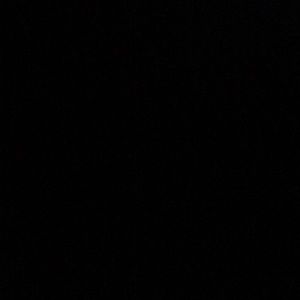 Meet your Posher, Tyson